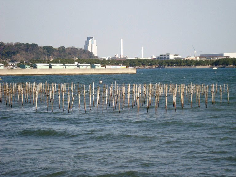 生海苔の養殖場